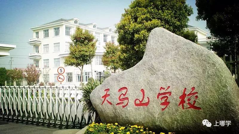 上海松江区小学排名一览表,2020上海松江区小学