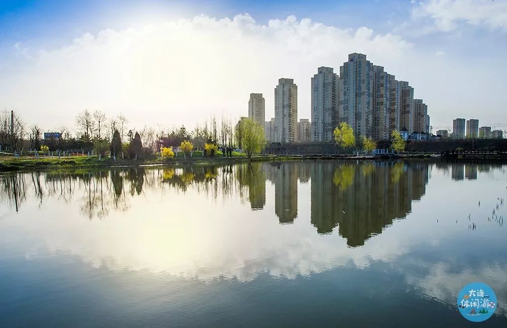 大连森林花海,大连花海旅游攻略