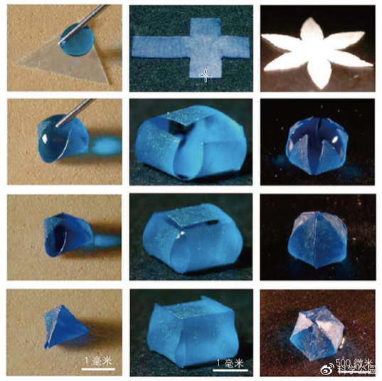 湿头发为什么看起来秃,头发一坨粘在一起怎么办