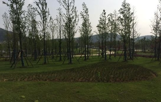 免费公园南京,南京江北免费公园