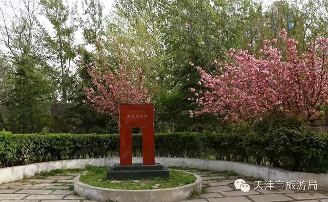 天津春天最美的花园,天津春天去赏花