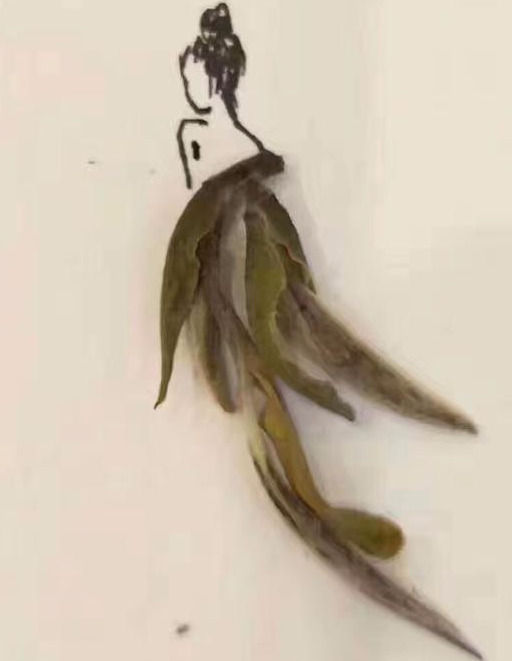 有关喝茶的养胃禁忌揭秘,喝茶养胃真的有效吗