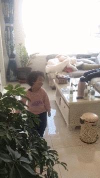 搞笑动图gif图片合集,搞笑动图gif微信可爱表情包