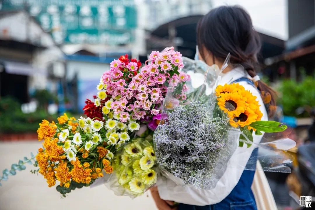 深夜去广州的花卉市场买花,如何逛斗南花卉市场买花便宜