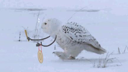 二级建造师考试难度比公务员大吗,二级建造师考试前景分析