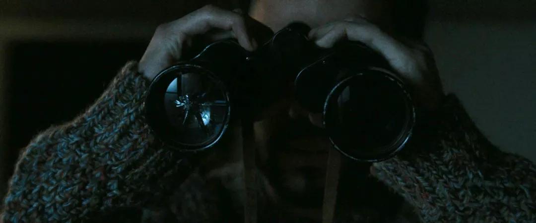 冷门惊悚片合集,冷门惊悚片免费