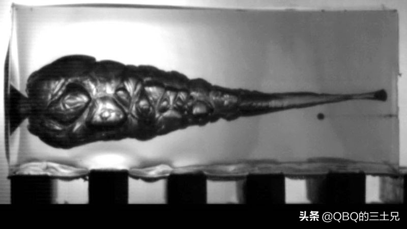 小口径枪弹,小口径子弹射程