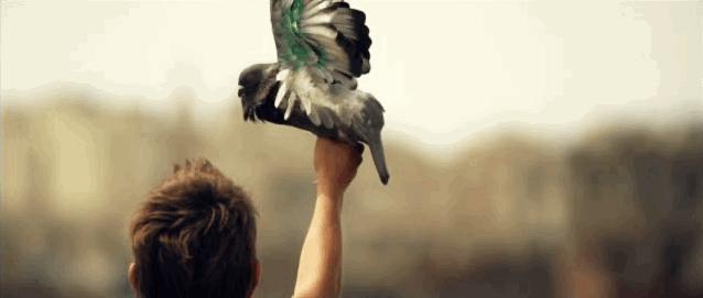 R级!这个未成年,干了成人不敢干的