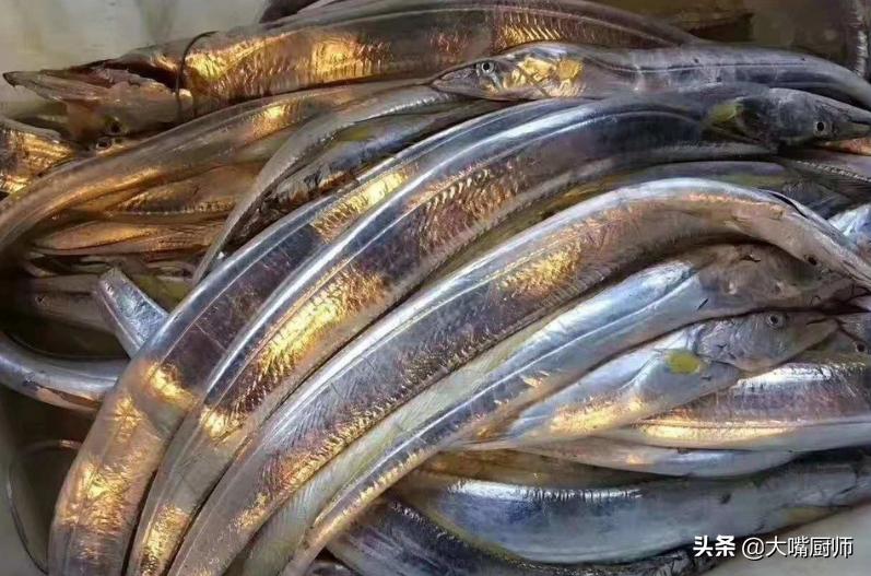 十几一斤和二十几一斤的带鱼区别,为什么带鱼段就几块一斤
