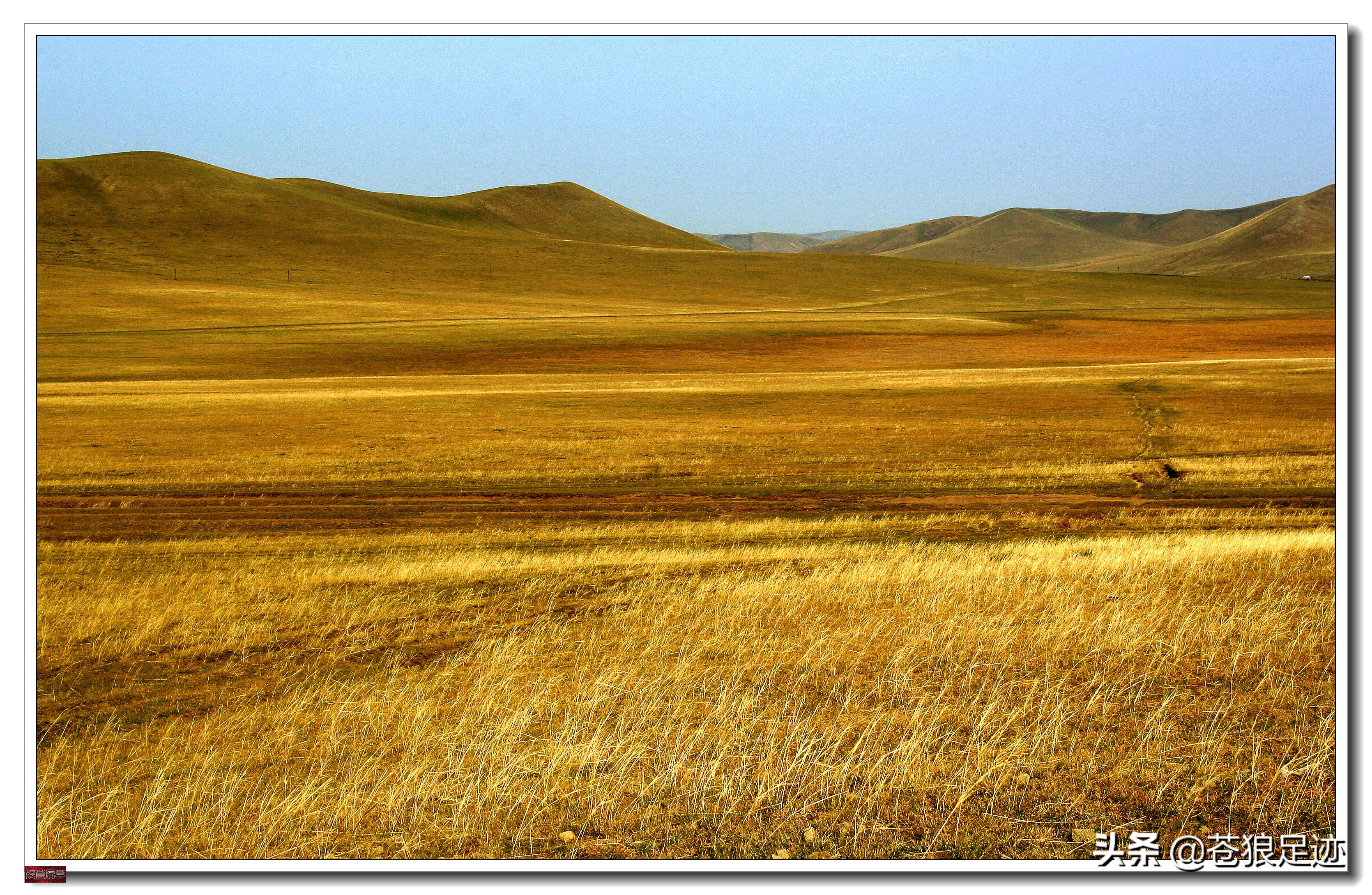 野阔牛羊同雁鹜——雄浑壮阔的贡格尔草原