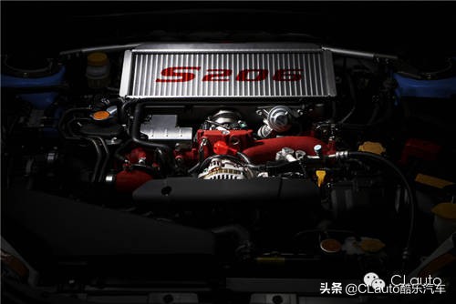 ​近乎残疾，不忍直视|流浪豹STI收养记Vol.01