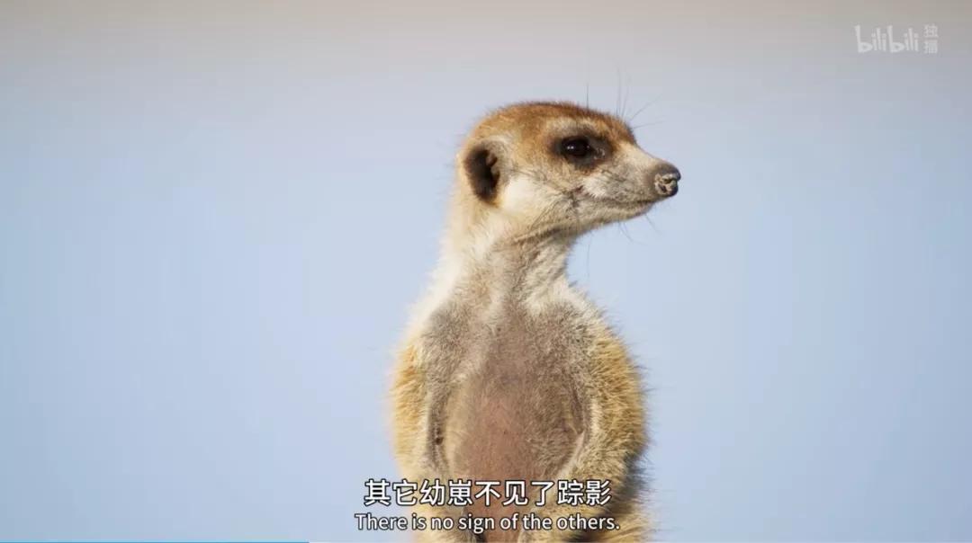 豆瓣评分9.5以上的国产电影有哪些,十部顶级神片推荐