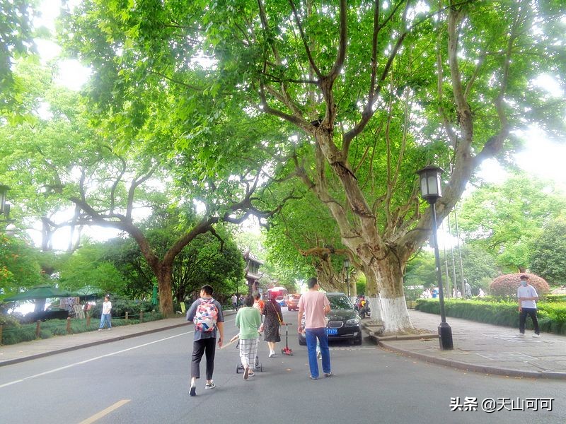 西湖一日游西湖景色到底有多美,再说一遍西湖之美