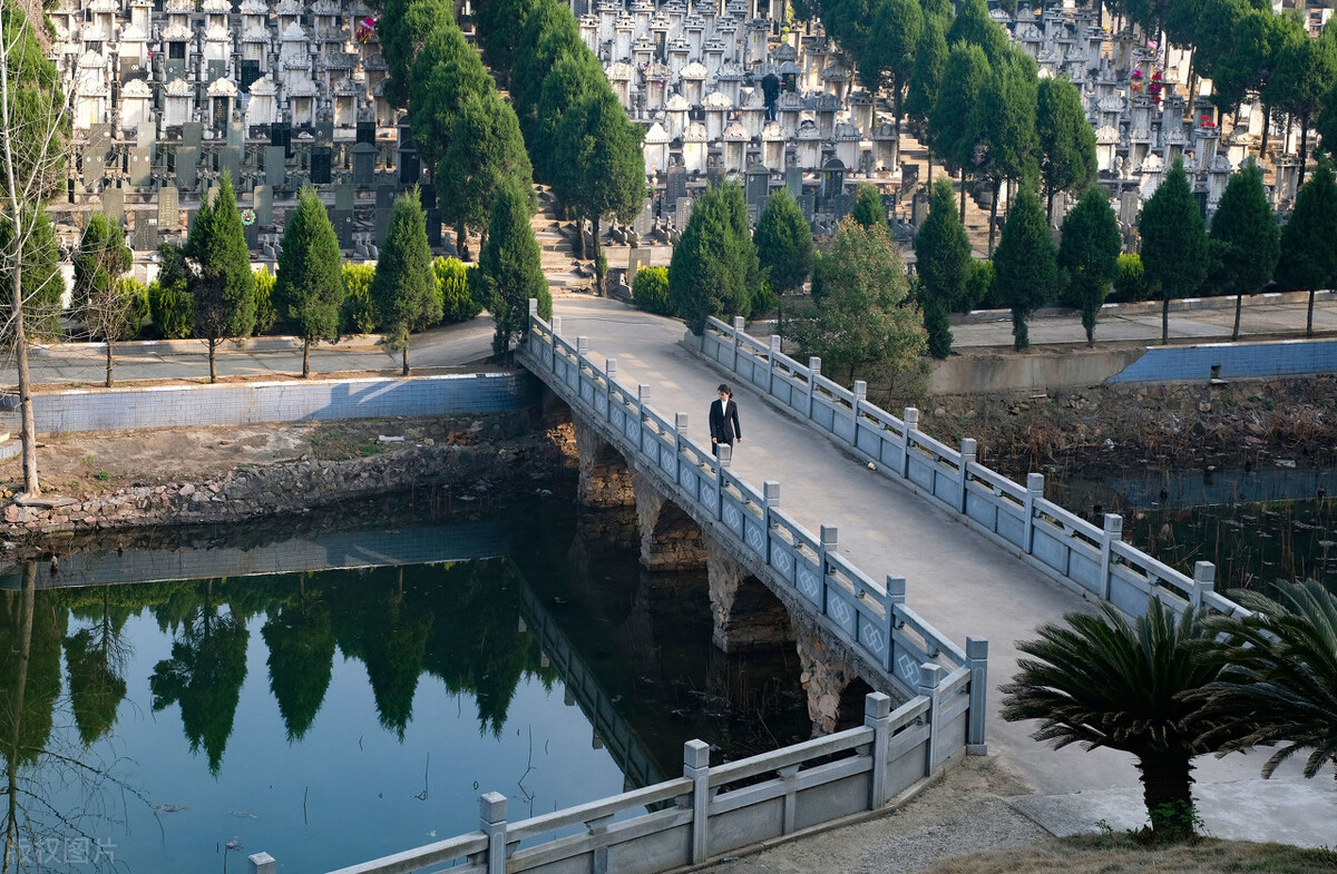 就业最难的四大专业,难学的三大专业