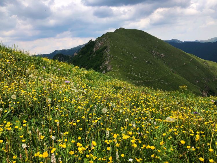 小五台山哪里进入景区,小五台山春天景色