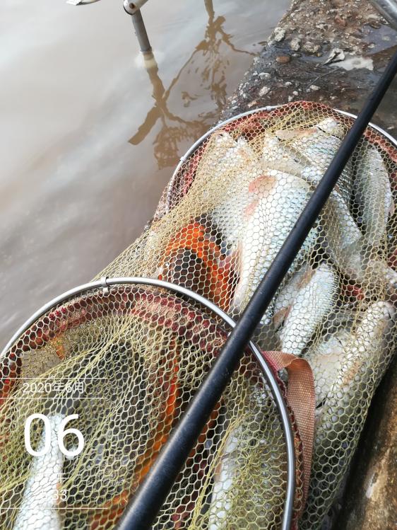 本汀太极黑棍7.2,本汀太极黑棍测试