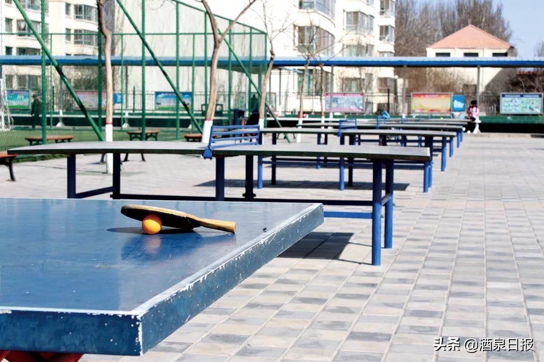 壮丽70年奋斗新时代视频,全市体育事业不断新突破