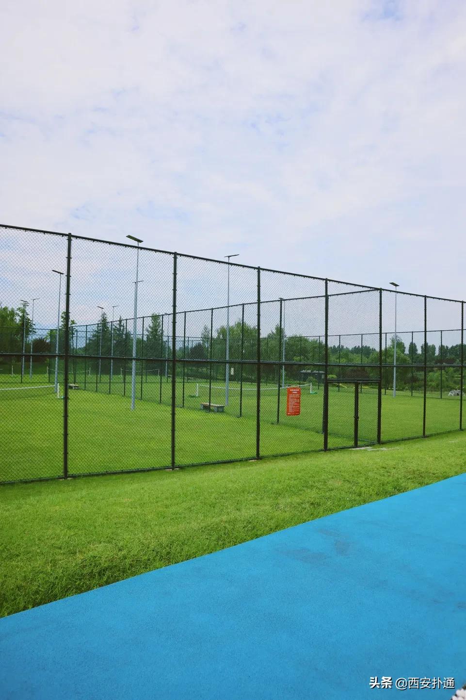 西安大草坪公园推荐,西安有大草坪的公园