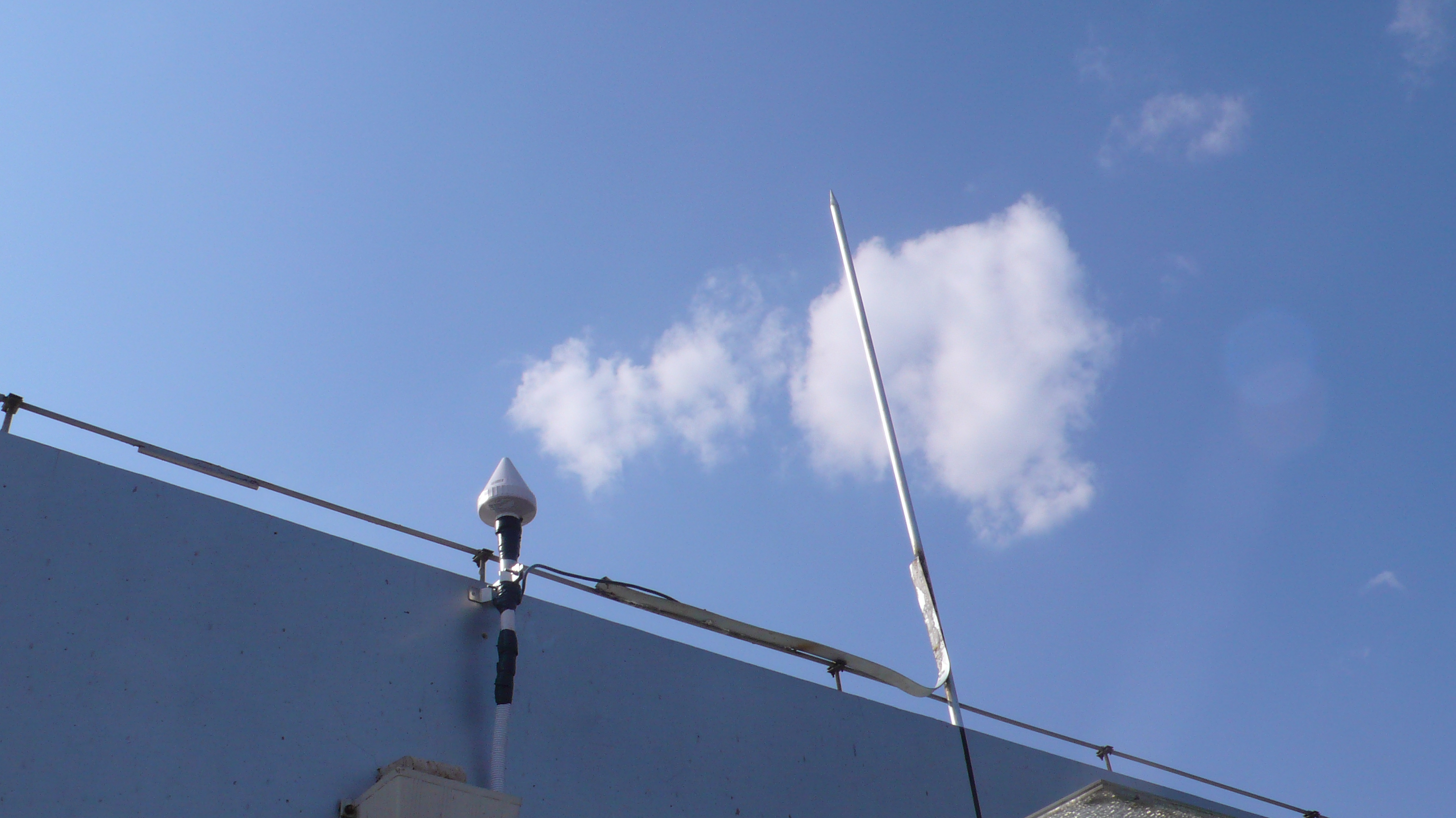 格鲁吉亚550只羊遭雷击死亡,格鲁吉亚550只羊疑遭雷击死亡