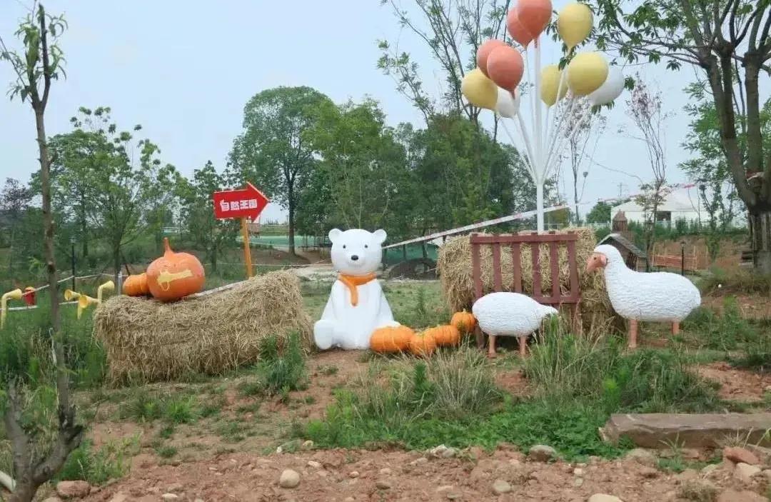 青白江十大健身地,青白江区体育锻炼的地方