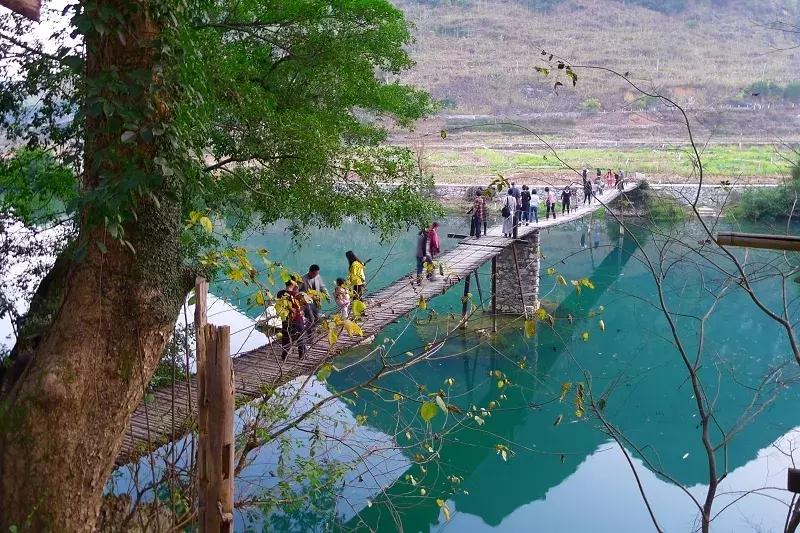 探秘广西巴马长寿之旅,广西巴马长寿探秘之旅