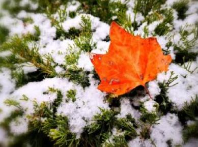 管恩锋最新品读好诗词,管恩锋