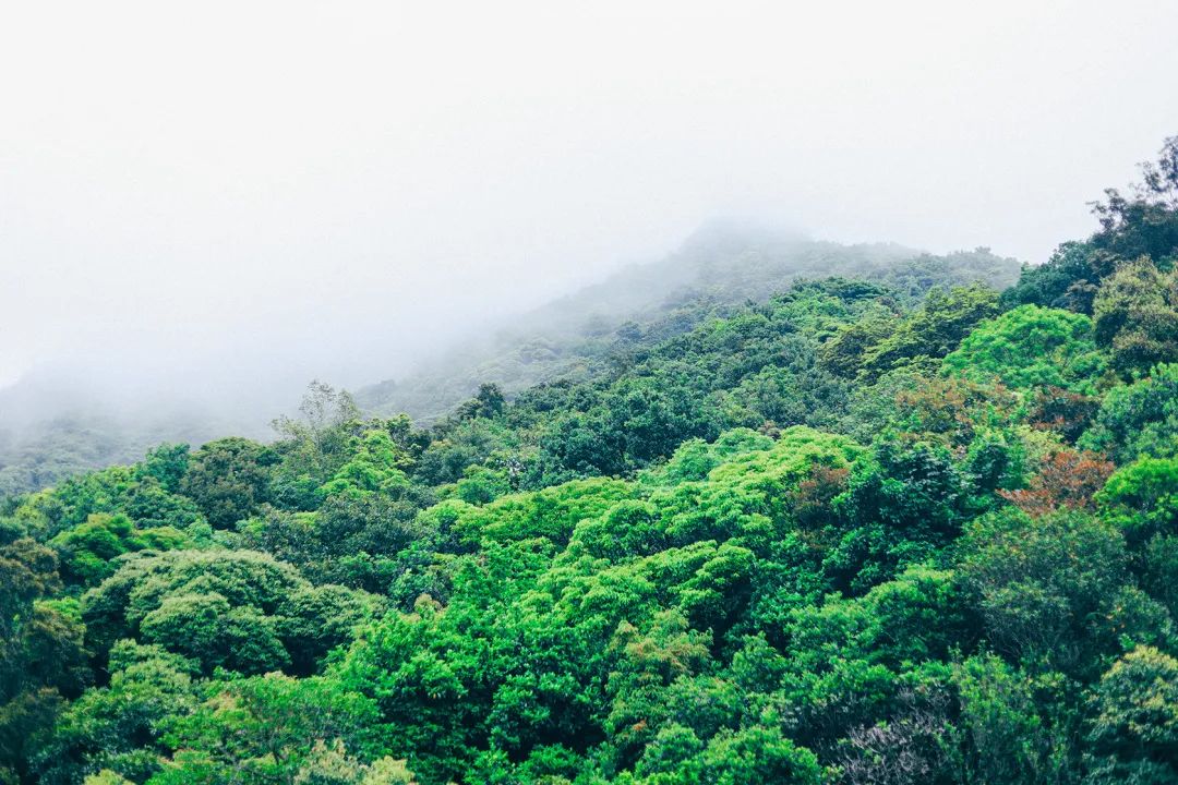 深圳值得去的地标,深圳值得去的景点排行榜