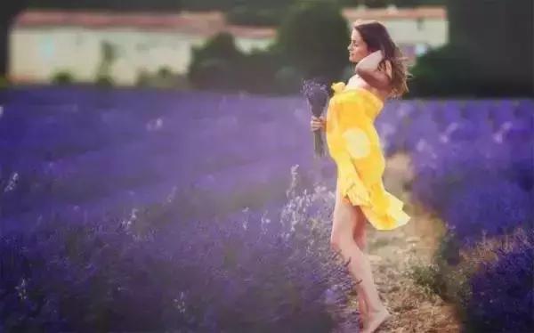 美翻了无锡这个紫色花海,美翻诸城这片花海刷爆整个朋友圈