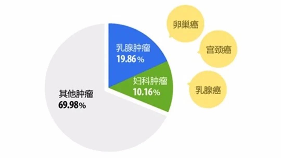 宫颈癌筛查指南最新进展,宫颈癌筛查怎样才算好的结果