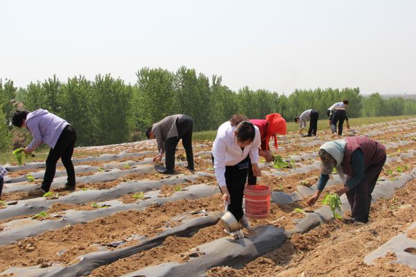 濠氬悗濡堝鐨勭埍鏈夊鍗戝井,濠氬悗濡堝鐨勫灞堜笌鏃犲