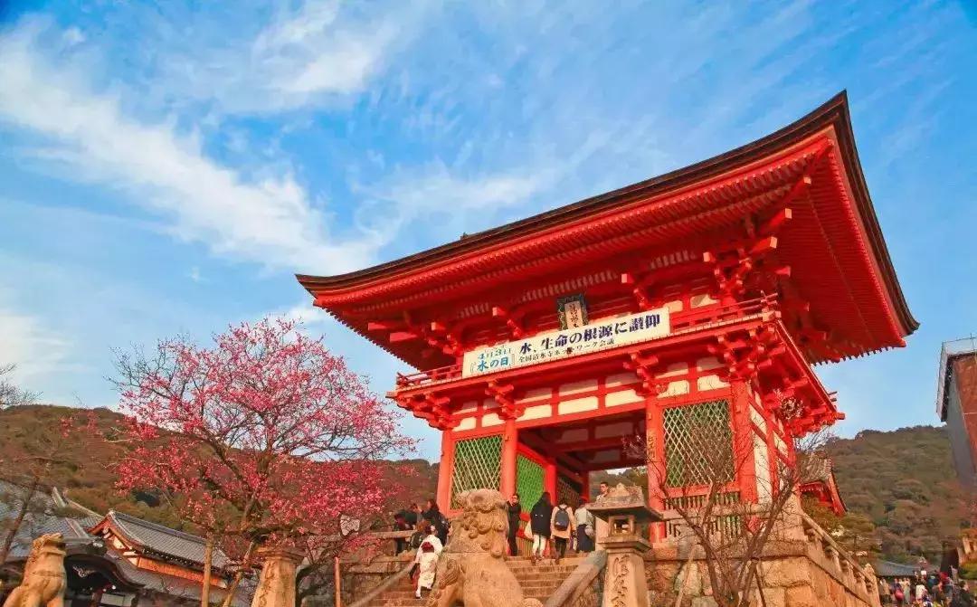 日本留学硕士国内认可度,日本留学认可pte吗