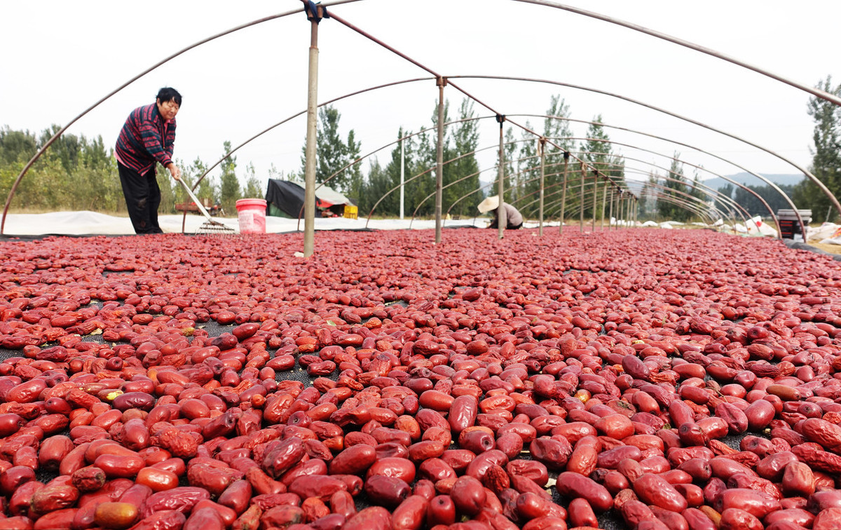 市场分析：曾经“高贵”的*疆新**大红枣如今为何贱卖？