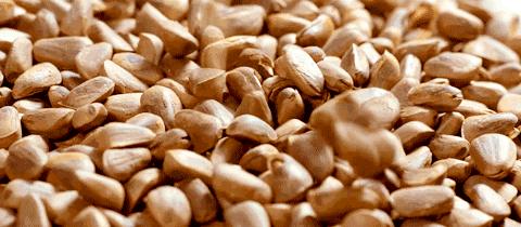 发现早期的肠癌提高5年生存率,肠癌晚期五年生存率14%