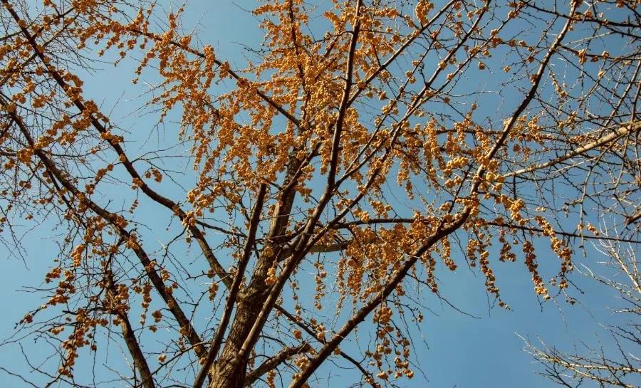 无聊的时候做什么才有意思,无聊时要做的十件事