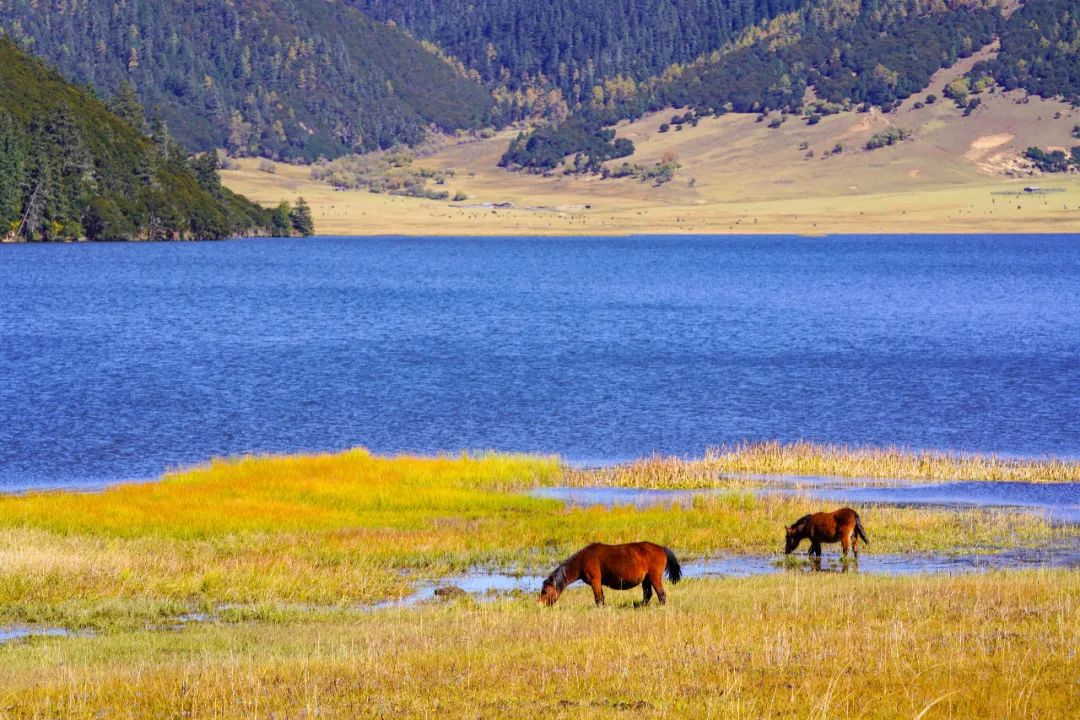 户外游最佳路线,小众户外游攻略