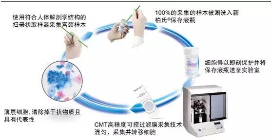一文带你了解：TCT和HPV的区别！