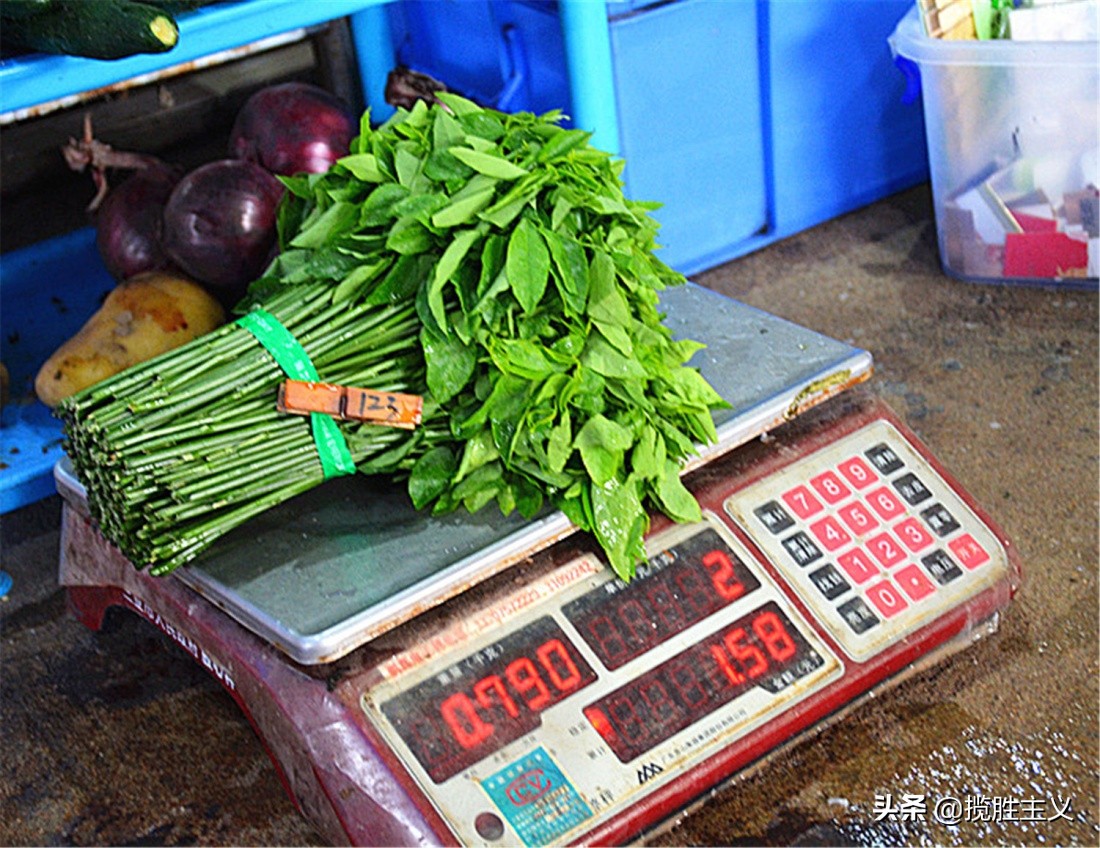 2019三亚海鲜广场,三亚火车头万人海鲜广场海鲜种类