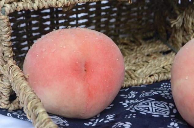 阳山水蜜桃的特点就是汁水十足,真正的浓缩精华