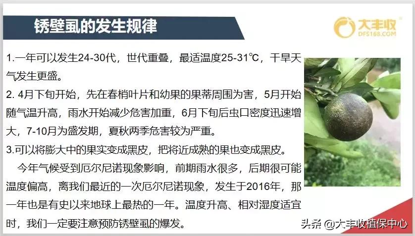 红蜘蛛锈壁虱大爆发该怎么用药,对红蜘蛛和锈壁虱有用的杀螨剂