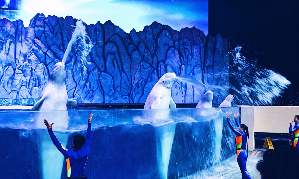 珠海长隆海洋王国吃住旅游攻略,最新珠海长隆海洋王国一日游攻略