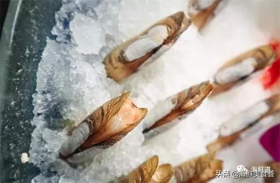 102种海鲜,营养丰富的海鲜有哪些品种
