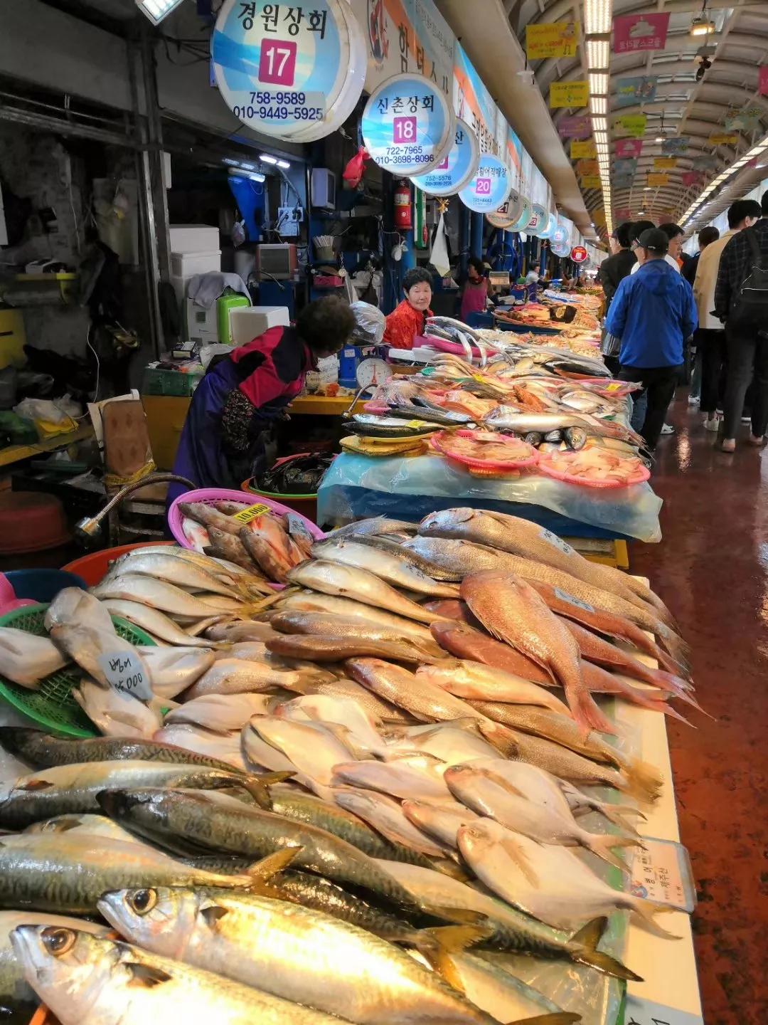 在济州岛发呆的日子,济州岛散心