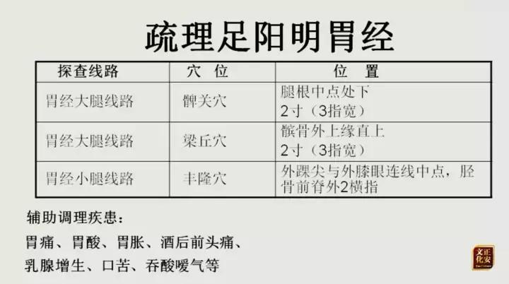 从零学中医按摩,从零学经络第七讲
