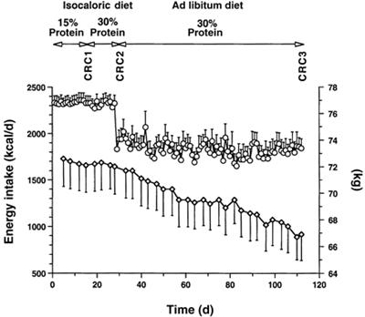 怎样才能减少肚子的脂肪,肚子越来越大小肚子脂肪多怎么办
