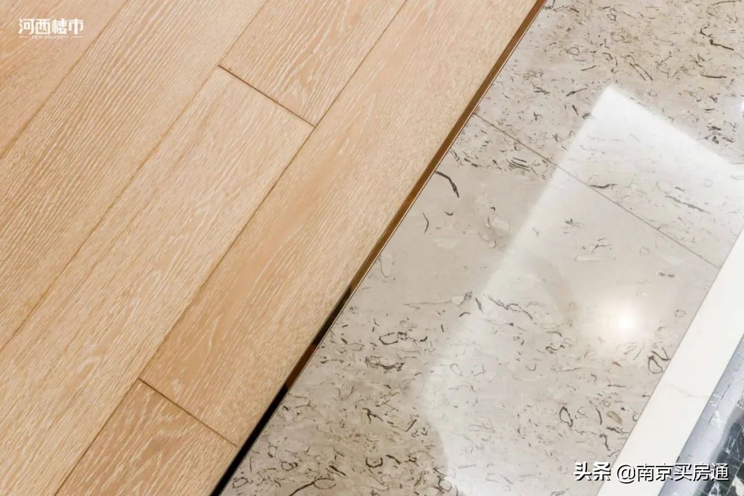 河西中新豪宅全景图,河西中心豪宅内部图片