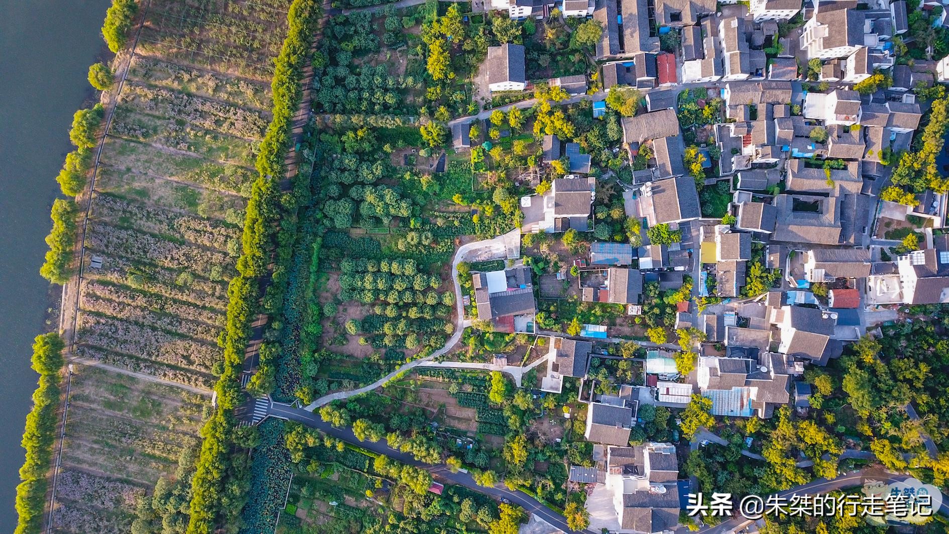 苏州太湖第一岛简介,苏州太湖原生态小岛