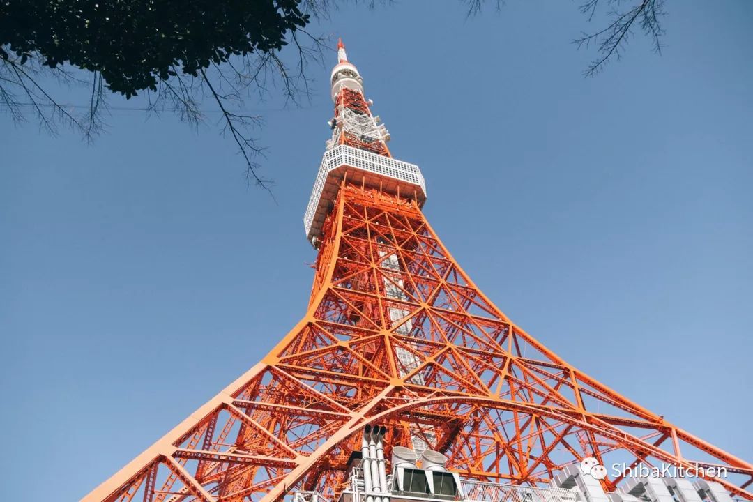 表参道和代官山的距离,表参道代官山店几点开门