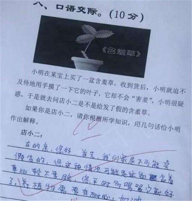 小学生奇葩试卷答案0分,小学生奇葩0分试卷老师哭笑不得