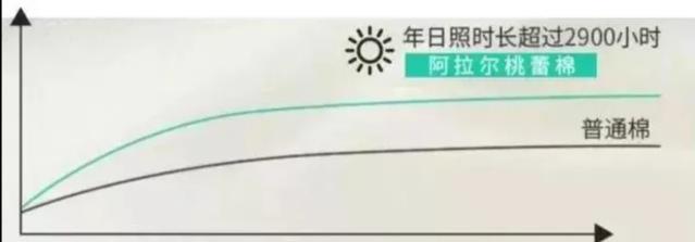 打底白t怎么选尺码,可以单穿一件打底白t吗