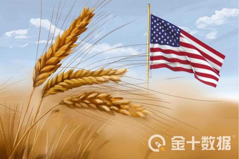 10美元和100美元的汉堡区别,外国一般一个汉堡多少美元